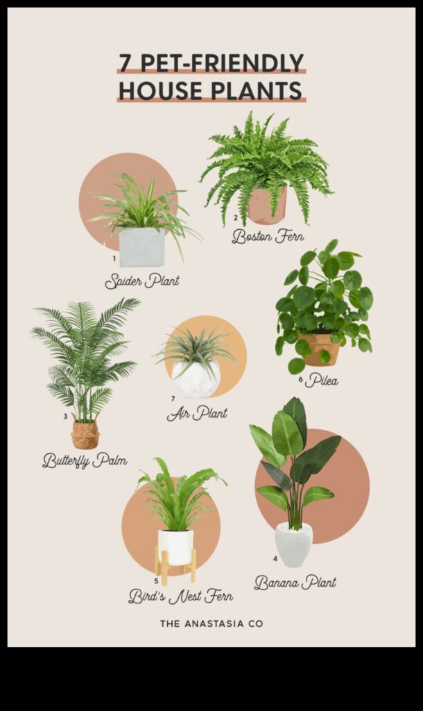 Pet-Safe Plants Greenery for a Pet-Friendly Home 1