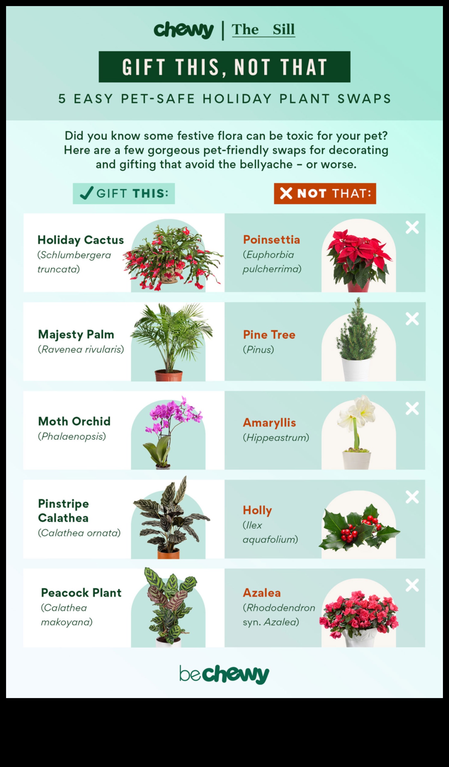 Pet-Safe Plants: Greenery for a Pet-Friendly Home