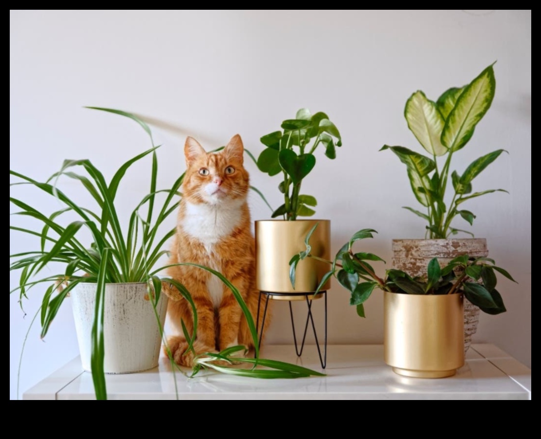 Pet-Safe Plants: Greenery for a Pet-Friendly Home