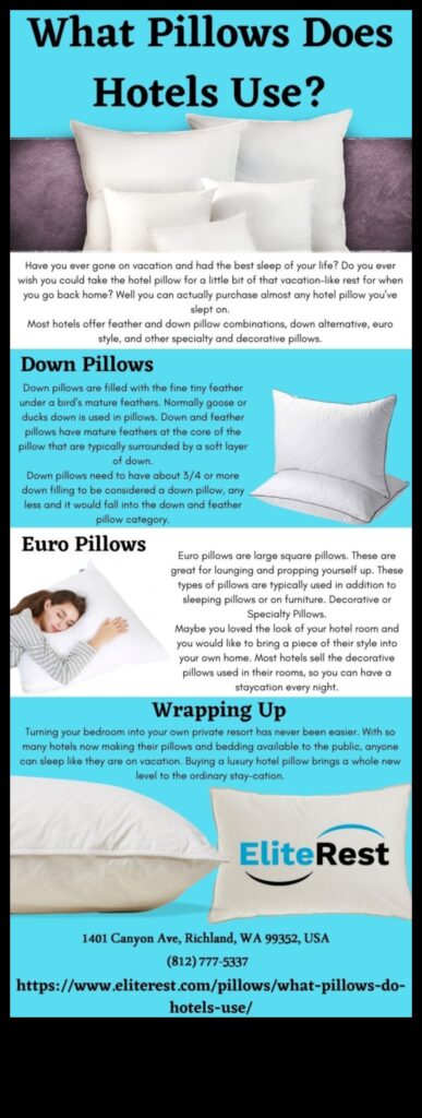 Pillow Paradigm Your Guide to Restful Accommodations 1