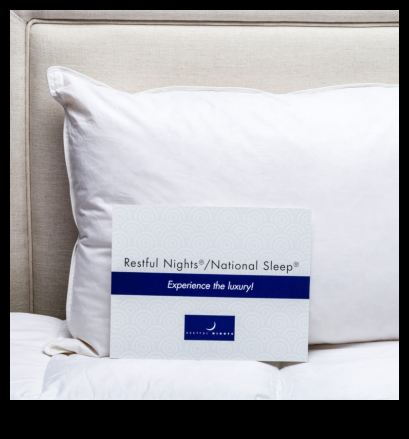 Pillow Paradigm: Your Guide to Restful Accommodations