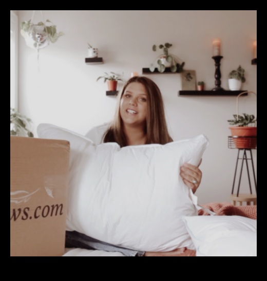 Pillow Paradigm: Your Guide to Restful Accommodations