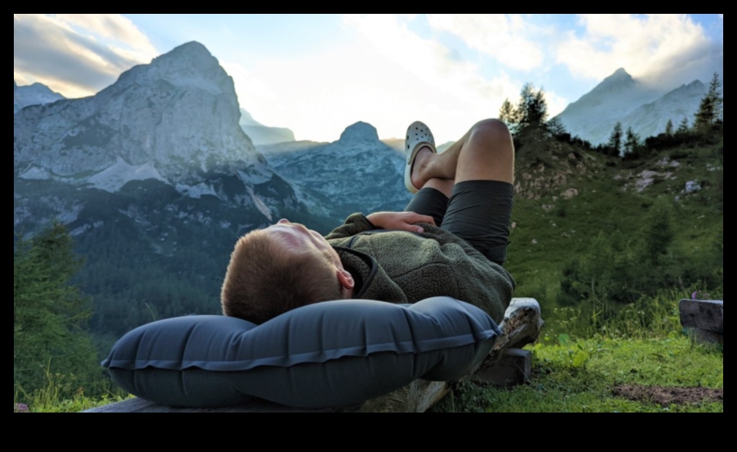 Pillow Perspectives: Views from Comfortable Stays