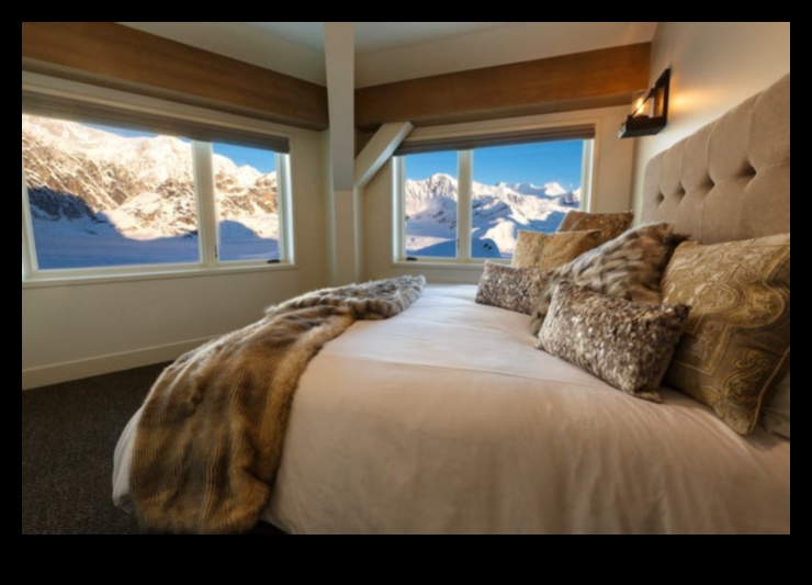 Pillow Perspectives: Views from Comfortable Stays