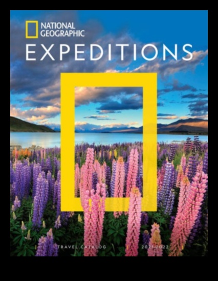 Pioneer's Palette: A Vivid Tapestry of Travel Information