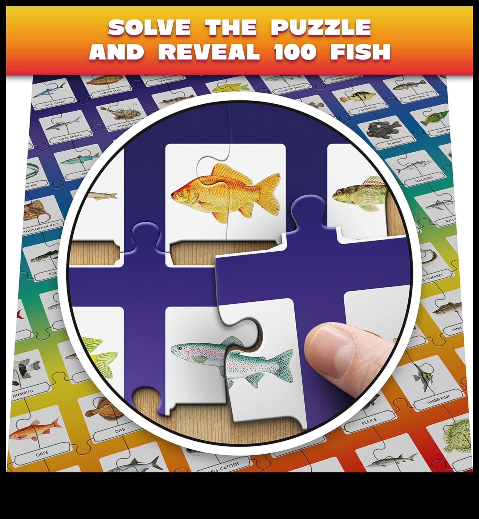 Piscatorial Puzzles: Fun Facts and Quizzes About Fish