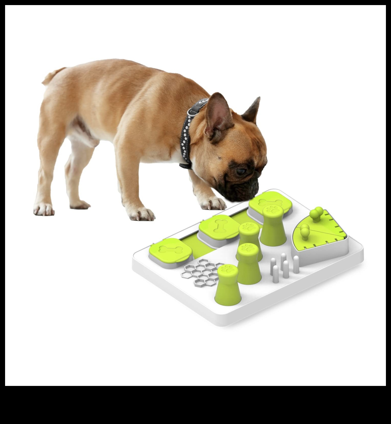 Playful Paws: Interactive Games for Mental Stimulation