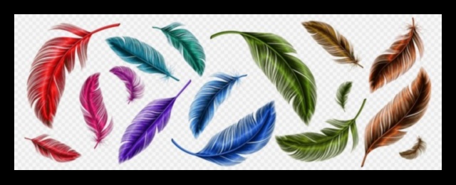 Plumage Palette The Vibrant Colors and Patterns of Bird Feathers 1