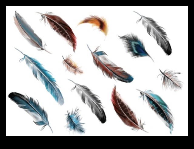 Plumage Palette: The Vibrant Colors and Patterns of Bird Feathers