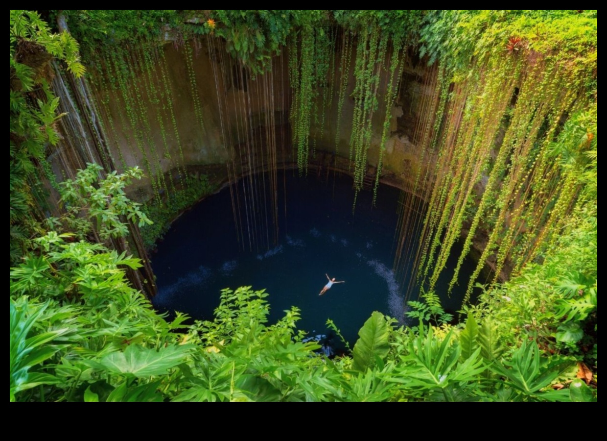 Pocket Paradise: Your Oasis of Nearby Local Attractions