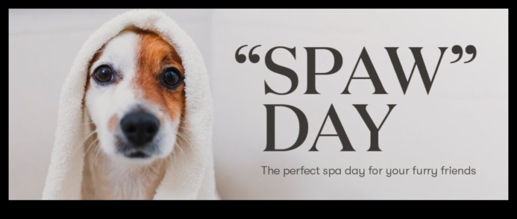 Pocket Pet Pampering Spa Day Ideas for Your Tiny Friends 1