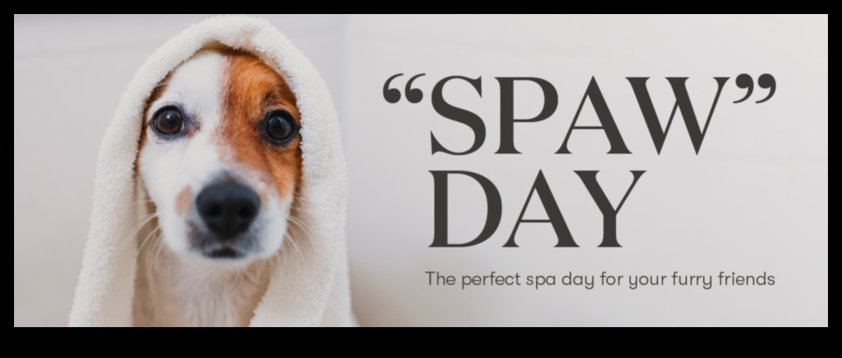 Pocket Pet Pampering: Spa Day Ideas for Your Tiny Friends