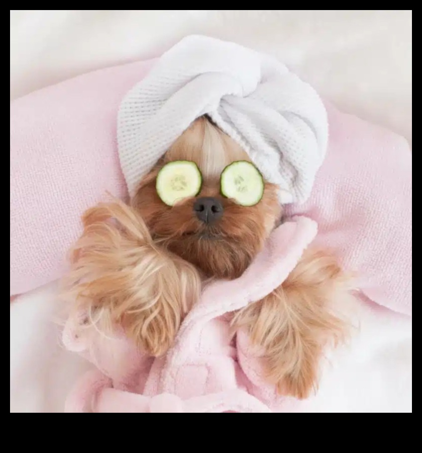 Pocket Pet Pampering: Spa Day Ideas for Your Tiny Friends