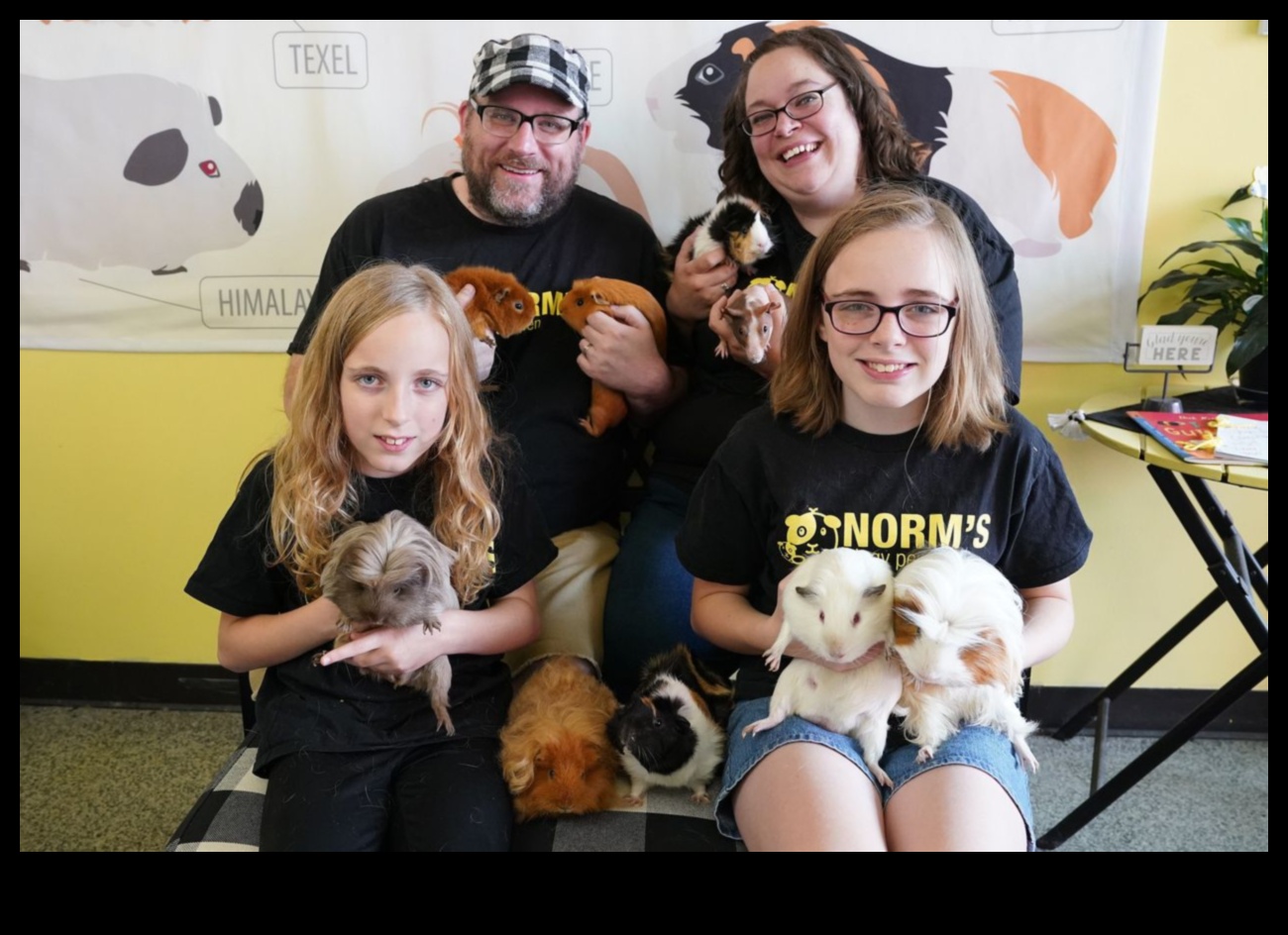 Pocket Pet Pampering: Spa Day Ideas for Your Tiny Friends