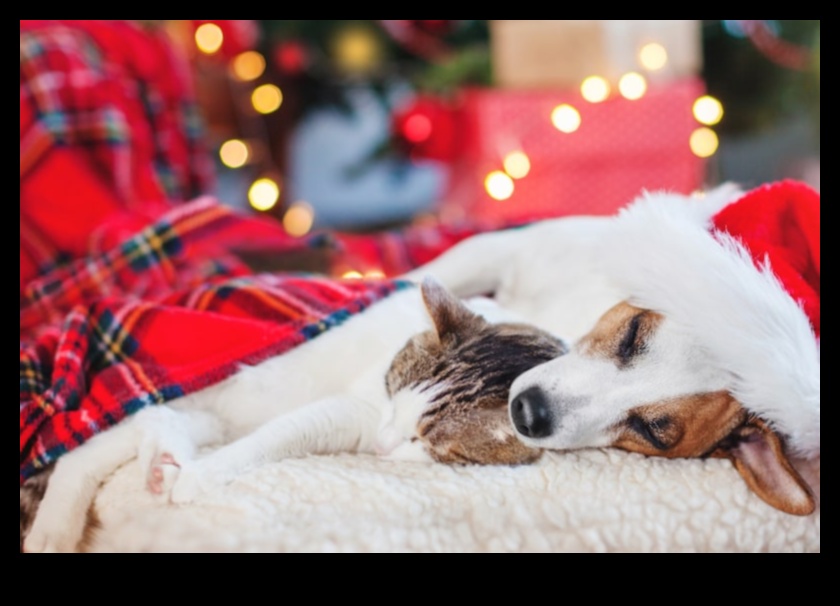 Pocket Pet Pampering: Spa Day Ideas for Your Tiny Friends