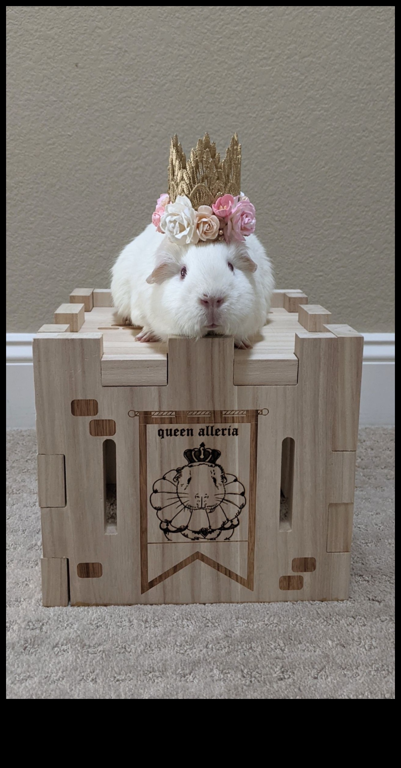 Pocket Pet Pampering: Spa Day Ideas for Your Tiny Friends