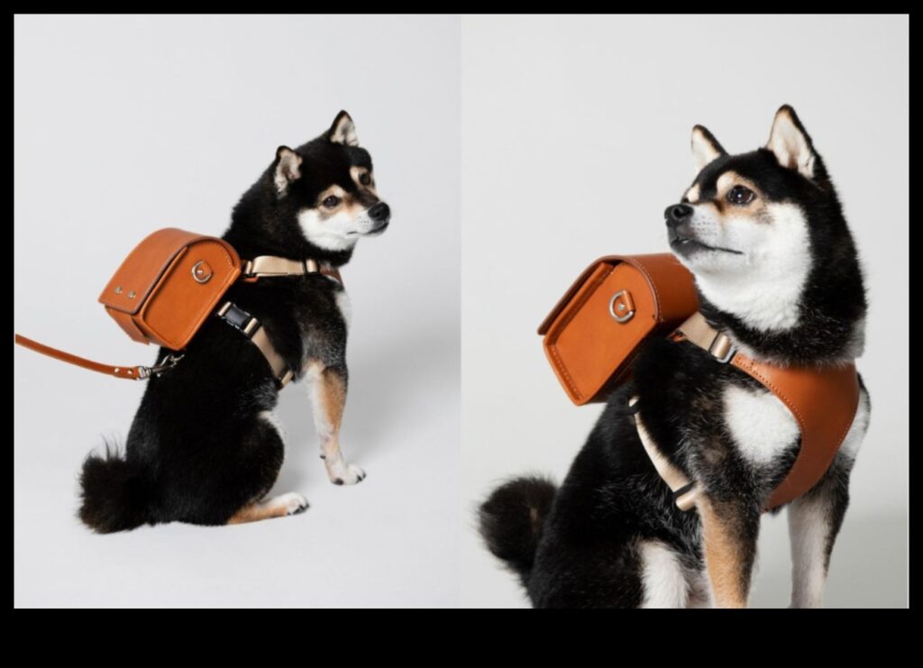 Pocket Pet Panache Stylish Accessories for Your Furry Friends 1