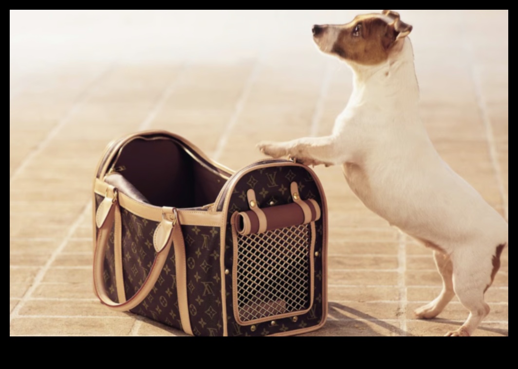 Pocket Pet Panache: Stylish Accessories for Small Furry Friends