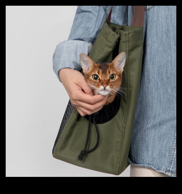 Pocket Pet Panache: Stylish Accessories for Small Furry Friends