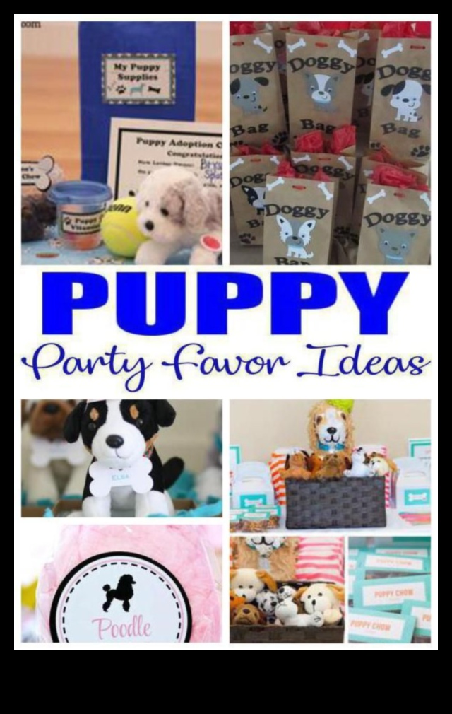 Pocket Pet Party: Throwing a Celebration for Your Small Animals