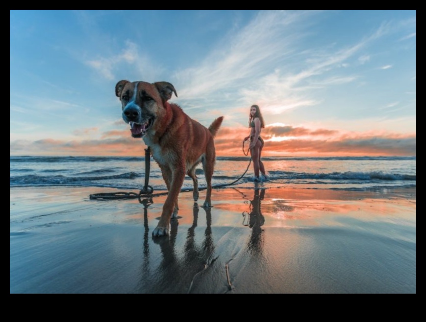 Pocket Pet Photo Shoot Continued: Creating Miniature Sets