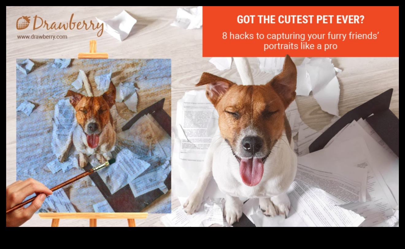 Pocket Pet Photography Play: Creating Instagram-Worthy Shots