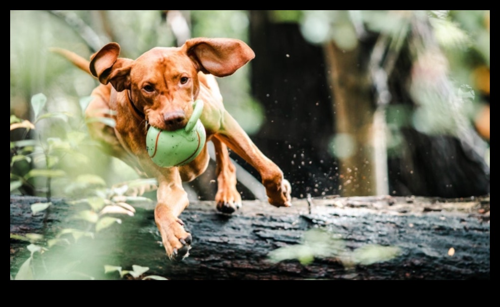 Pocket Pet Photography Play: Creating Instagram-Worthy Shots