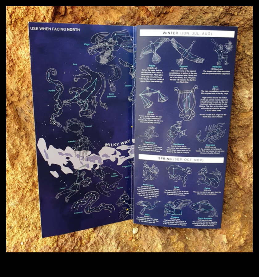 Pocket Pet Planetarium Continued: DIY Constellation Guides