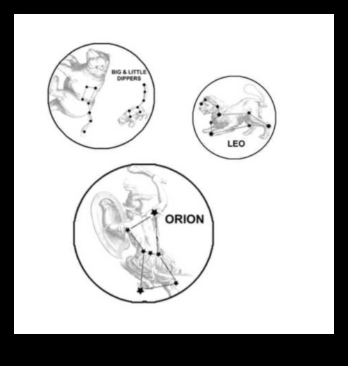 Pocket Pet Planetarium Continued: DIY Constellation Guides