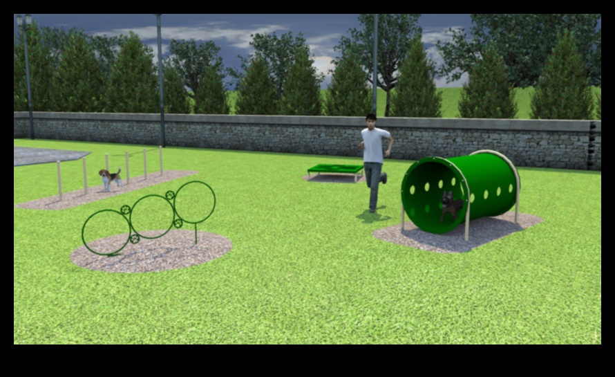 Pocket Pet Playground DIY Obstacle Courses for Small Animals 1