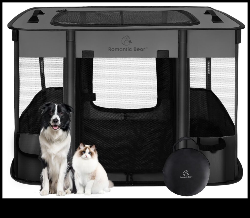 Pocket Pet Playpens Safe Spaces for Small Animal Exploration 1