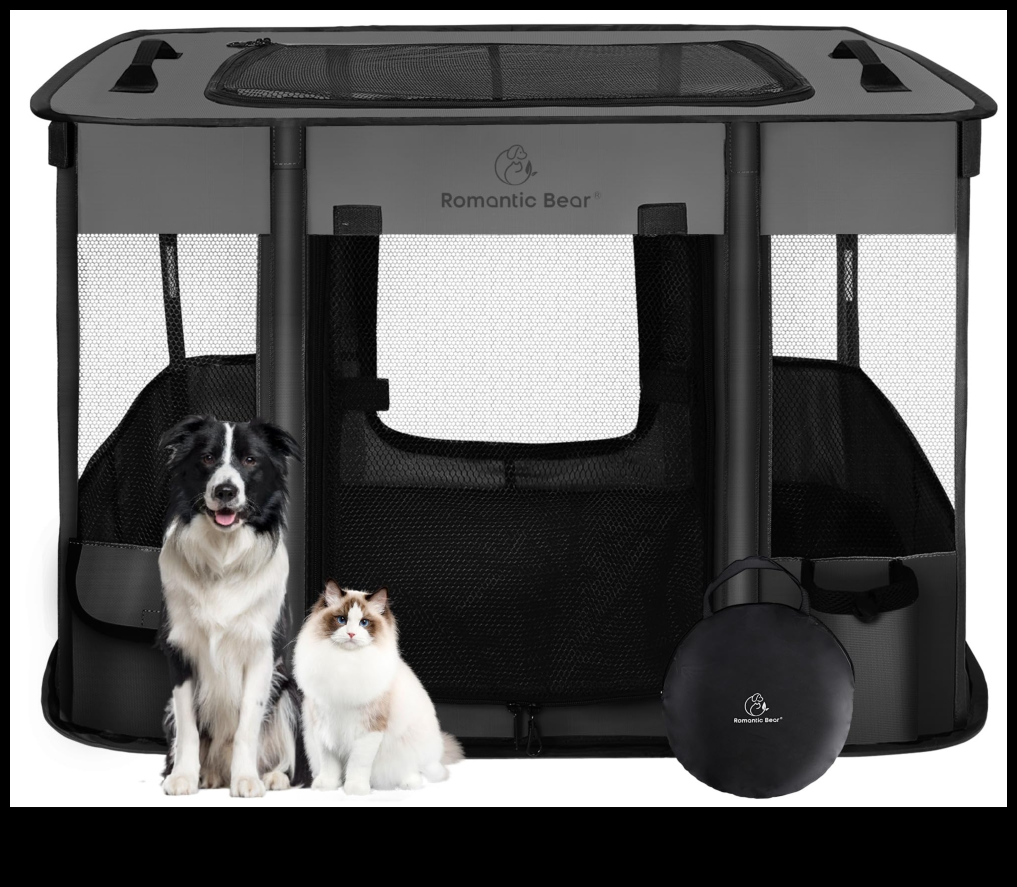 Pocket Pet Playpens: Safe Spaces for Small Animal Exploration