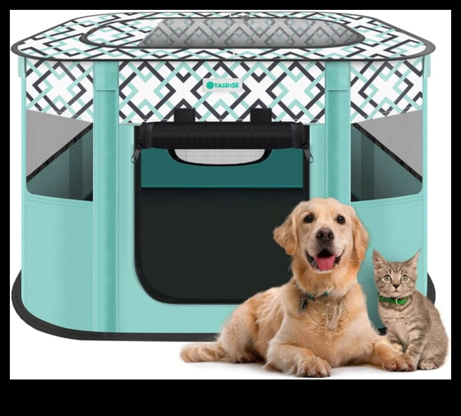 Pocket Pet Playpens: Safe Spaces for Small Animal Exploration