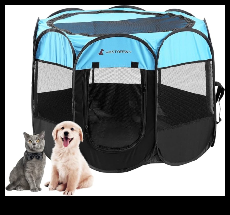 Pocket Pet Playpens: Safe Spaces for Small Animal Exploration