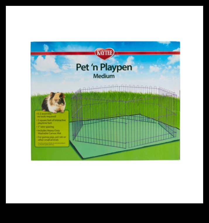 Pocket Pet Playtime Interactive Fun for Small Animals 1