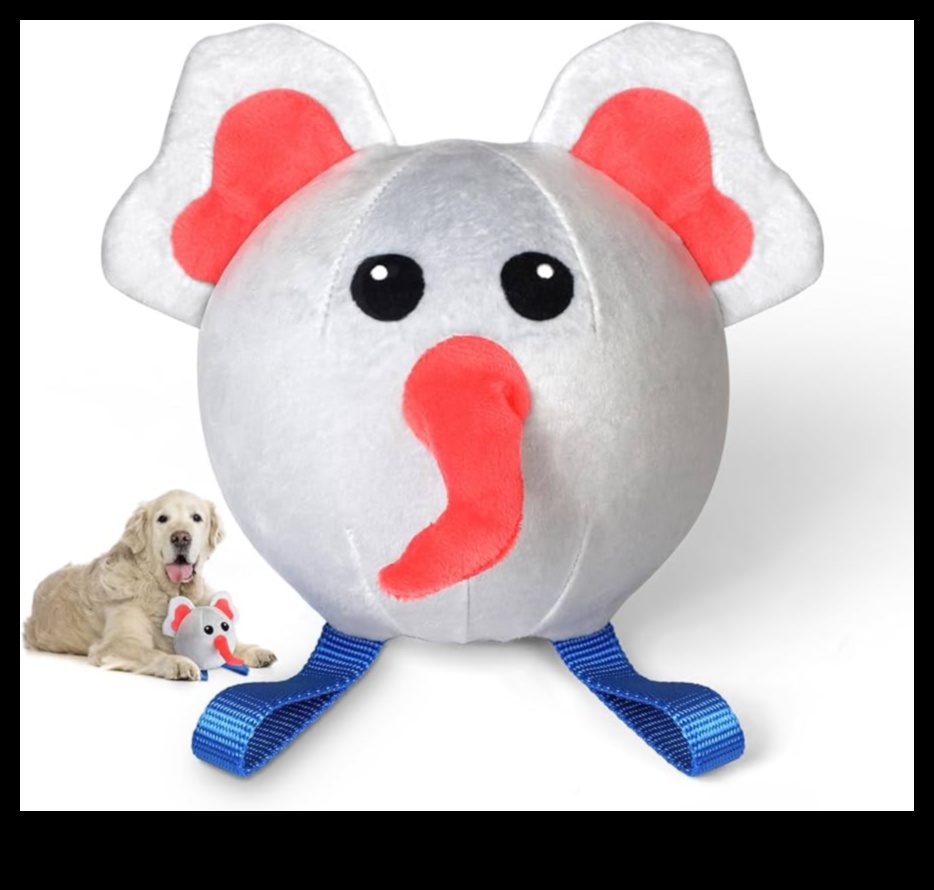 Pocket Pet Playtime: Interactive Fun for Small Animals