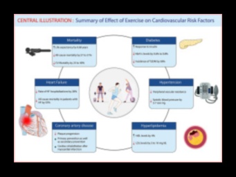 Pounding Pavements, Pumping Hearts: The Cardiovascular Connection