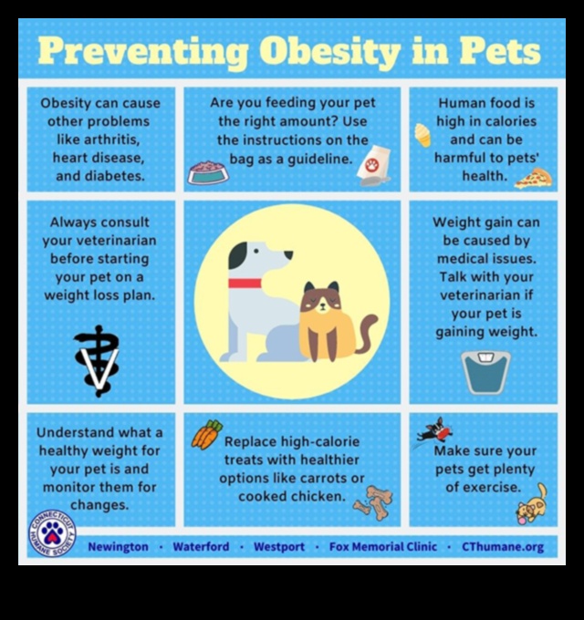 Preventing Pet Obesity Tips for Maintaining a Healthy Weight 1
