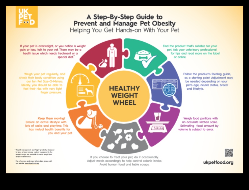 Preventing Pet Obesity: Tips for Maintaining a Healthy Weight