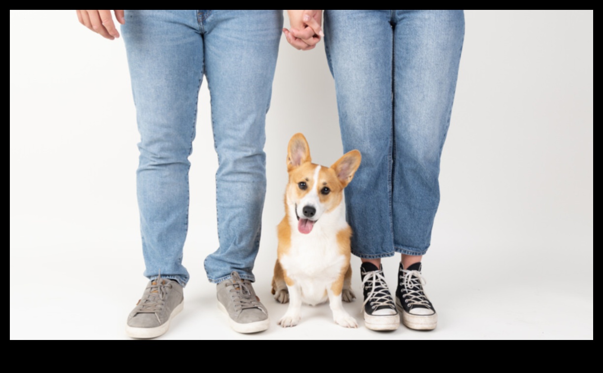 Pup Portraits: Capturing the Essence of Your Dog in Photos