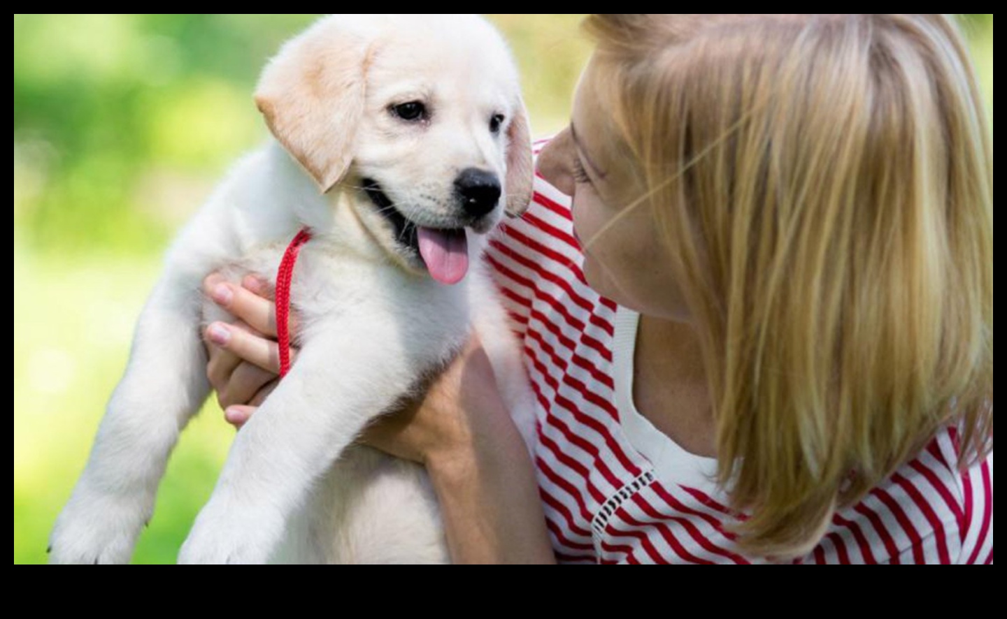 Puppy Love: Essential Tips for New Dog Owners