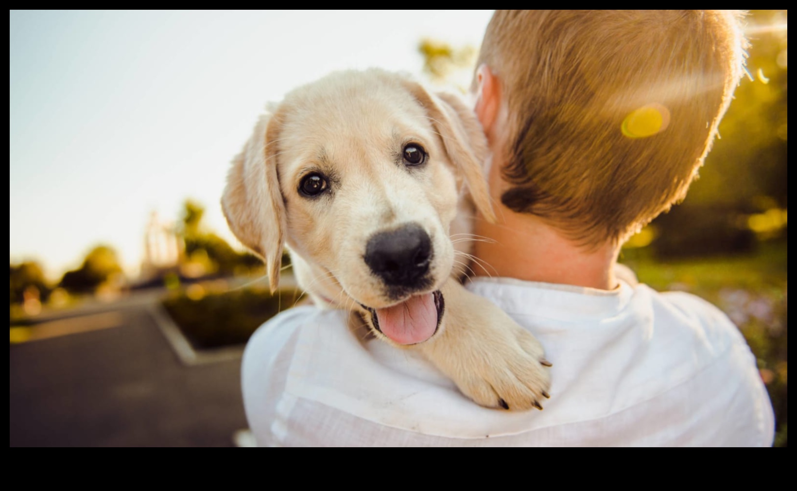 Puppy Love: Essential Tips for New Dog Owners