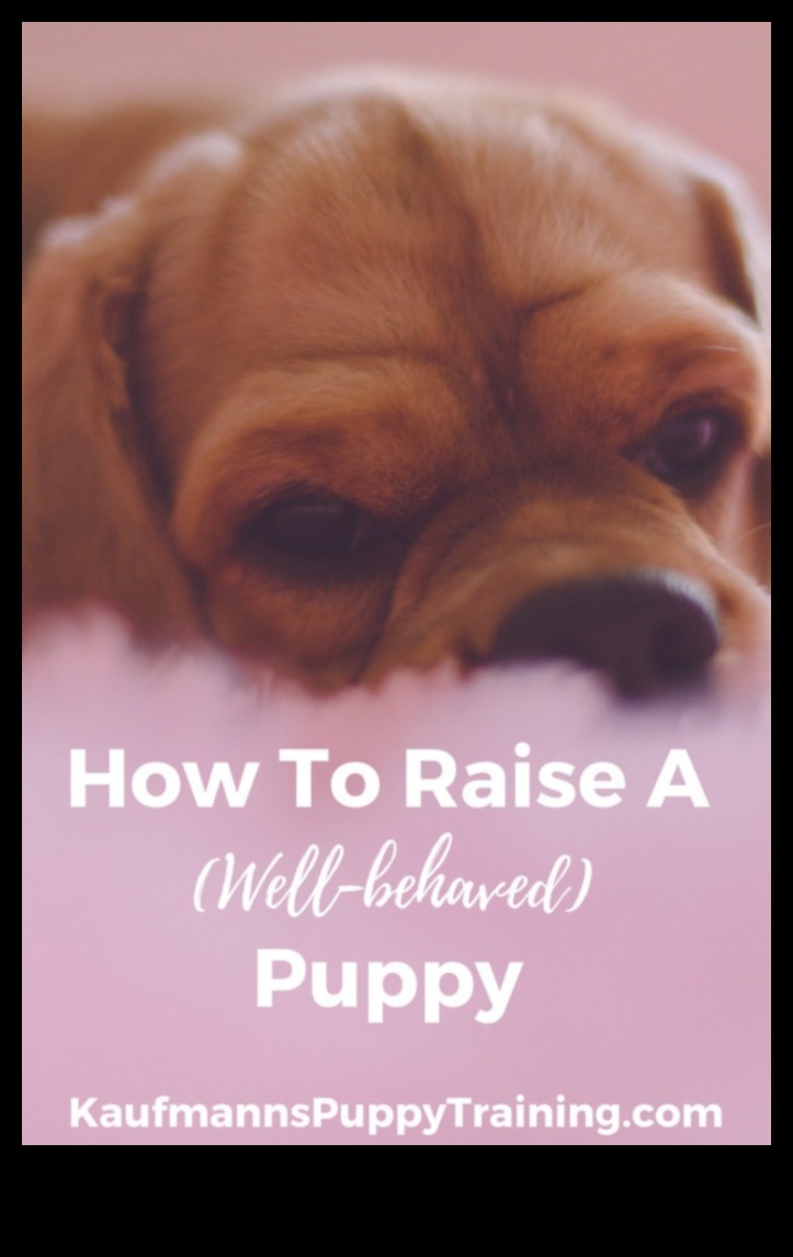 Puppy Parenting: Raising a Well-Behaved Canine Companion