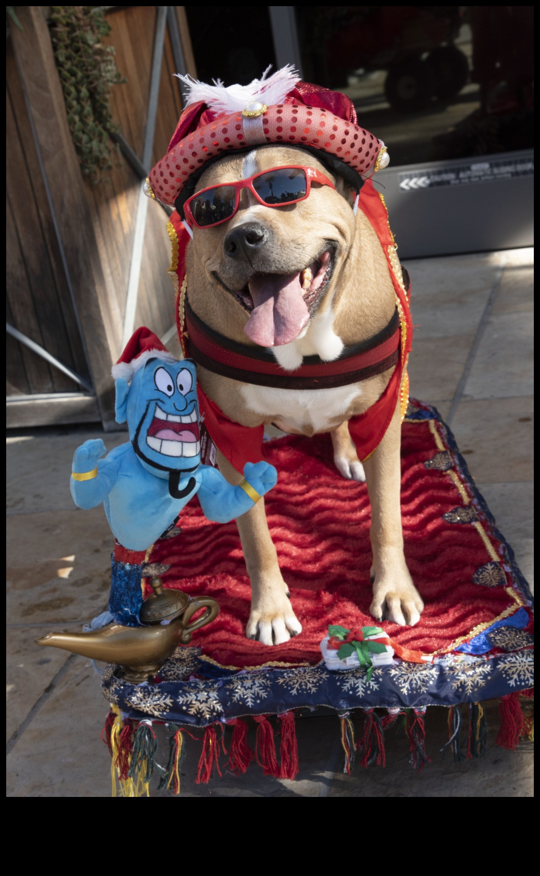 Puppy Play Parade: Marching Band Fun for Dogs