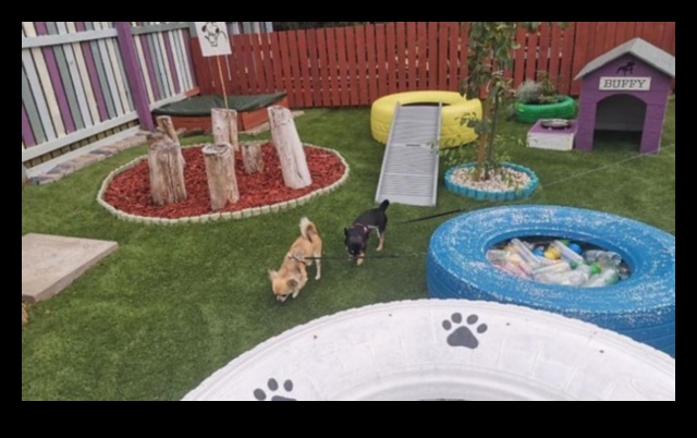 Puppy Playground Building a Safe and Stimulating Backyard 1