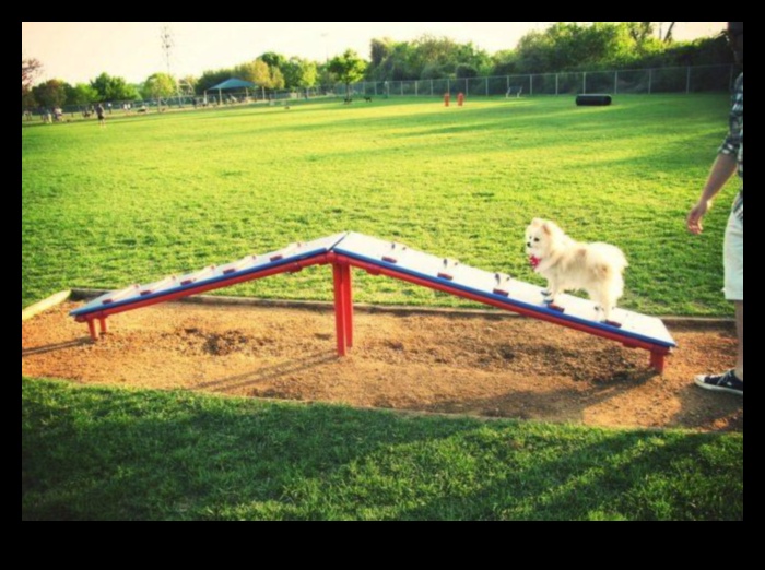 Puppy Playground: Building a Safe and Stimulating Backyard