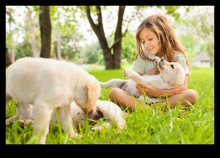 Puppy Playgroup Essentials: Socializing Your Pup with Other Dogs