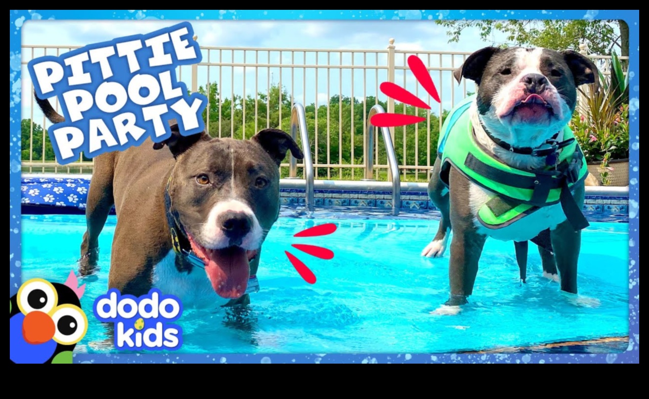 Puppy Pool Party: Beat the Heat with Water Fun for Dogs
