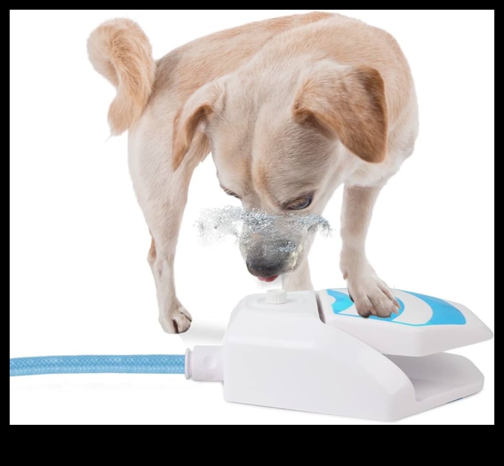 Puppy Pool Paw-ty Continued: Adding Water Games for Dogs