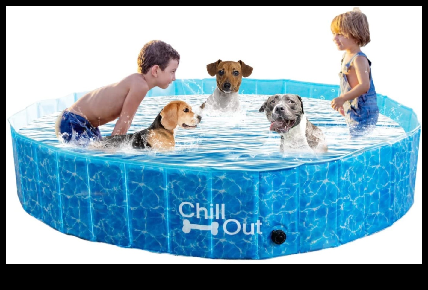 Puppy Pool Paw-ty Continued: Adding Water Games for Dogs